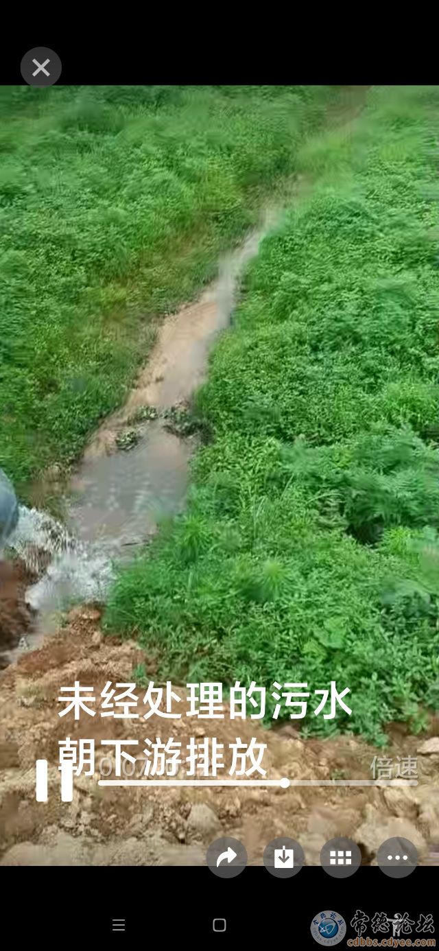 触屏版