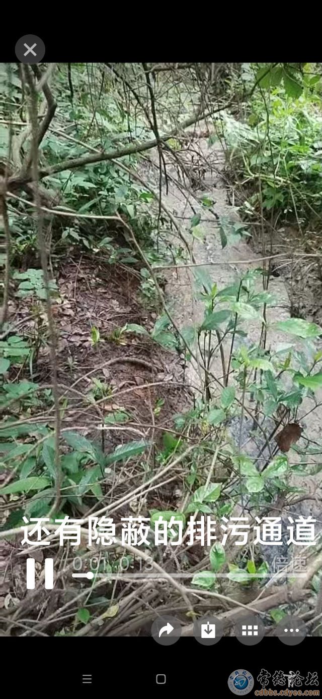 触屏版