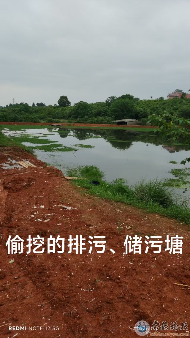 触屏版
