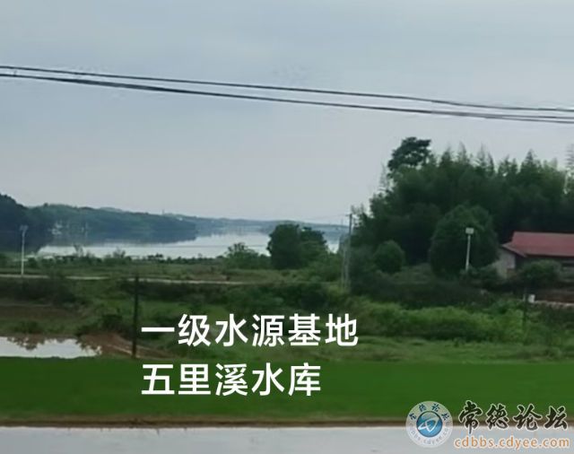 触屏版