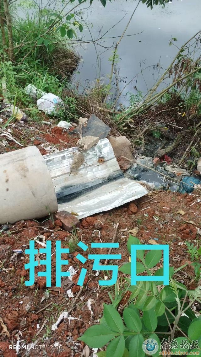 触屏版