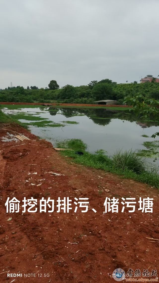 触屏版
