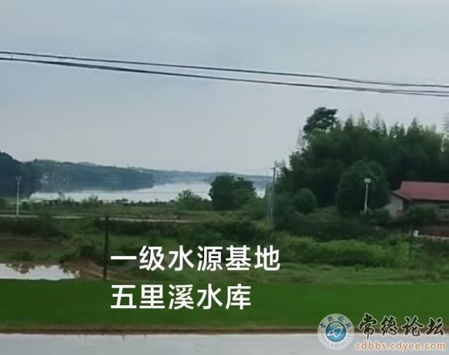 触屏版