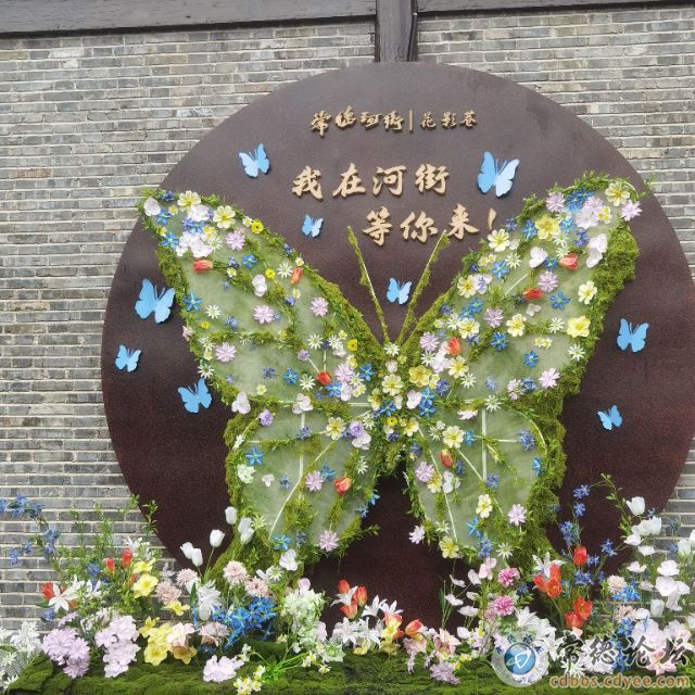 触屏版