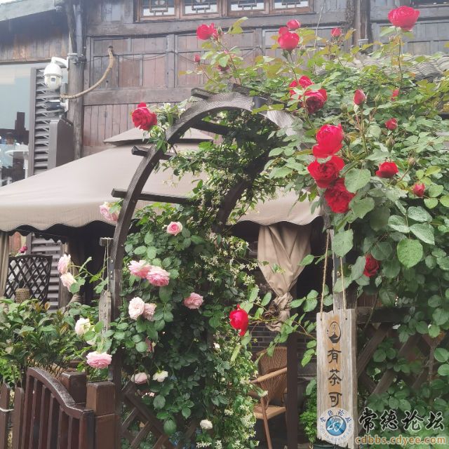 触屏版
