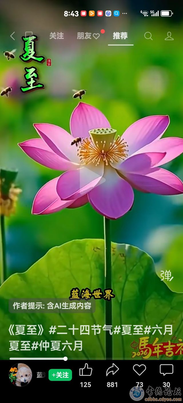 触屏版