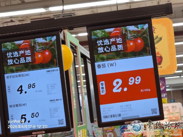 触屏版