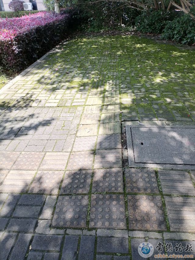 触屏版