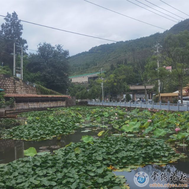触屏版
