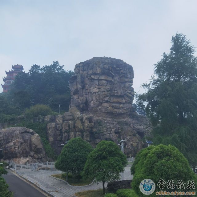 点击查看原图 触屏版