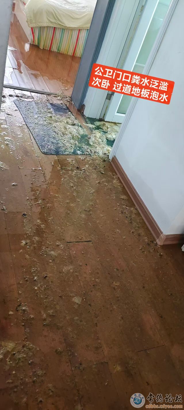 触屏版