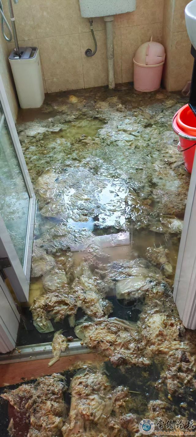 触屏版