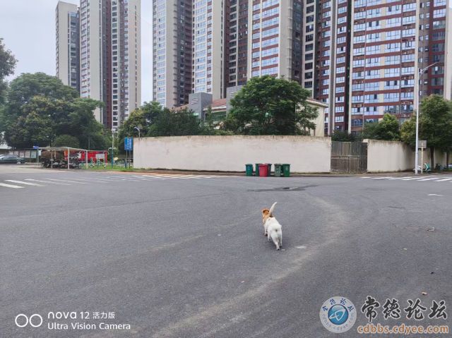 点击查看原图 触屏版