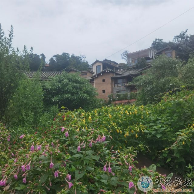 点击查看原图 触屏版