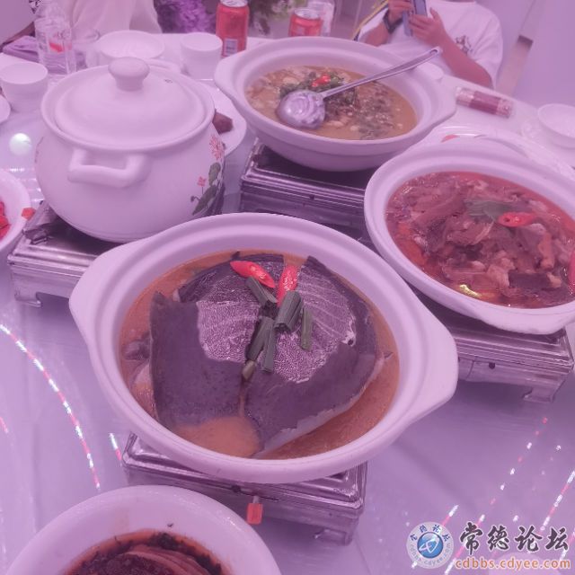 触屏版