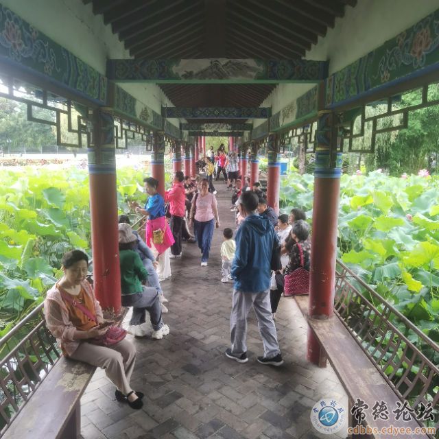 触屏版