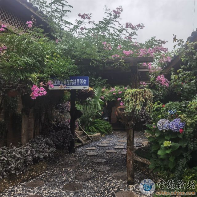 触屏版