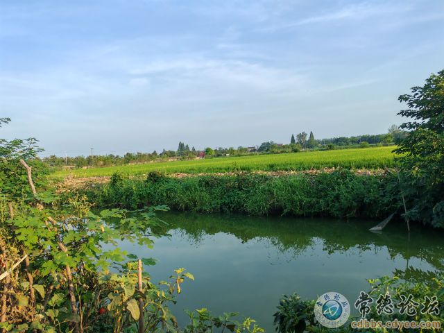 触屏版