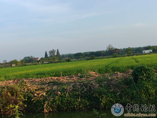 触屏版