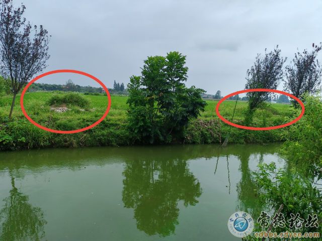 触屏版