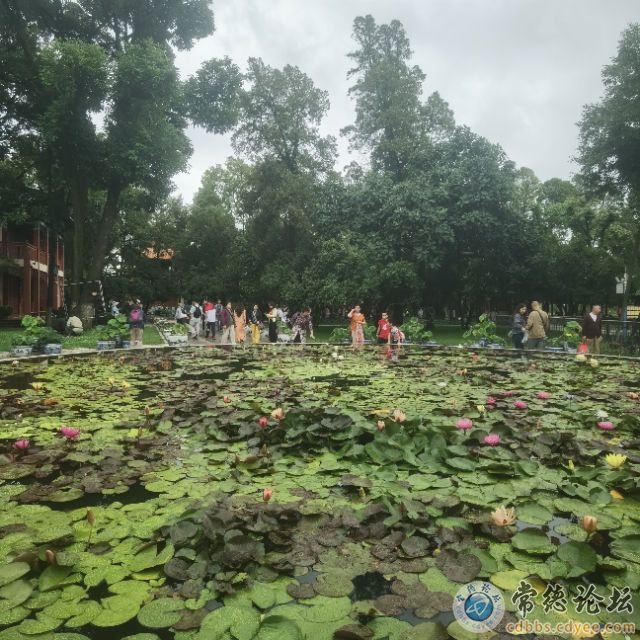 触屏版