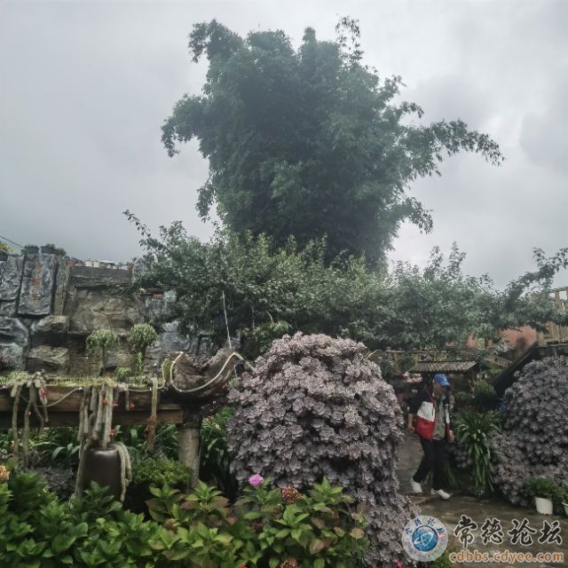 触屏版