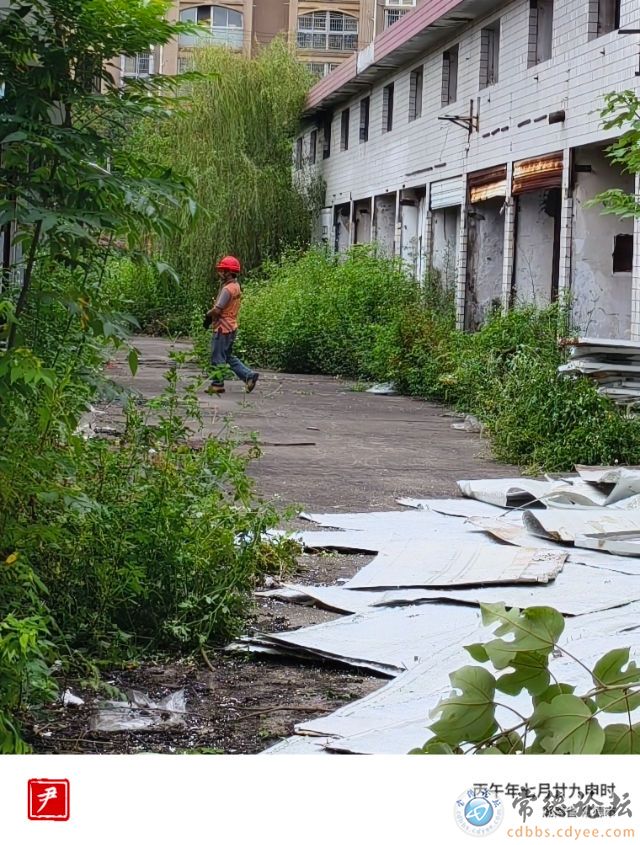 触屏版
