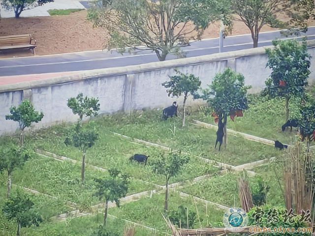 触屏版