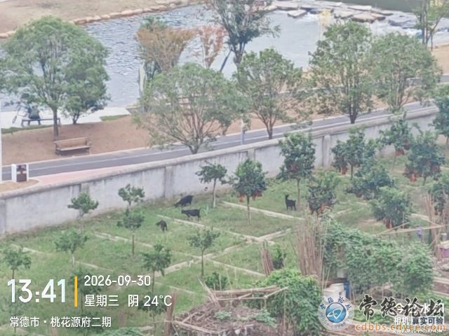 触屏版