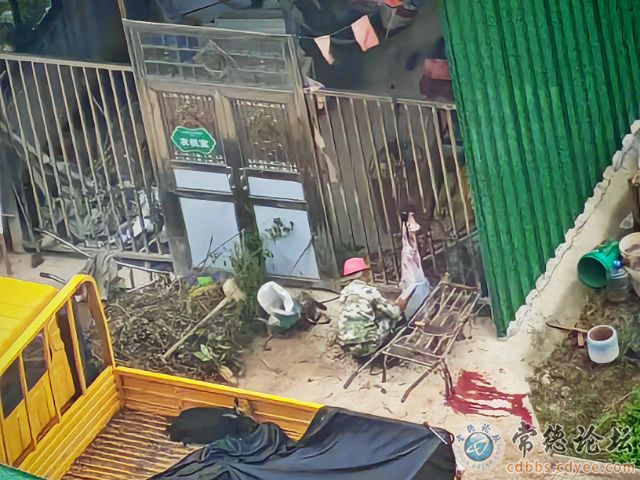 点击查看原图 触屏版