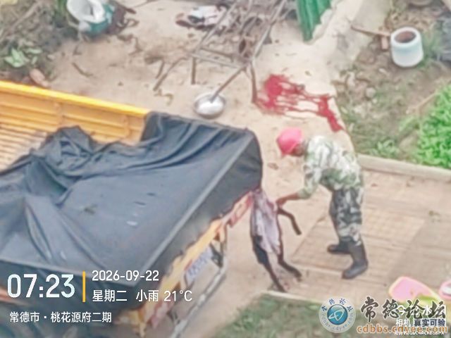 点击查看原图 触屏版