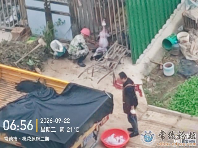 点击查看原图 触屏版