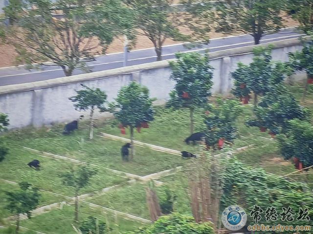 触屏版