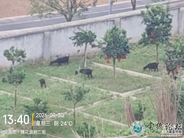 触屏版
