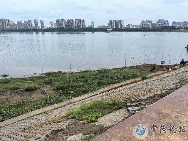 触屏版