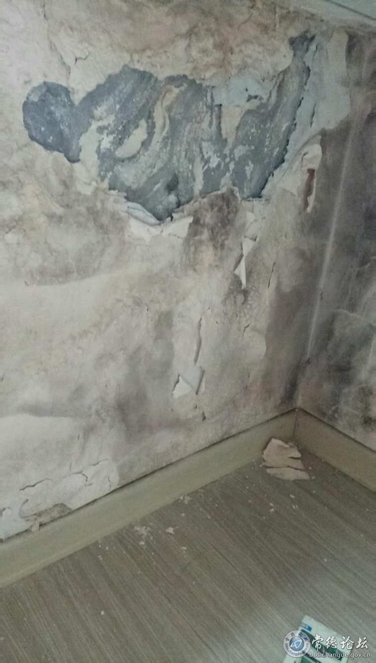 例：多层住户家墙体现状