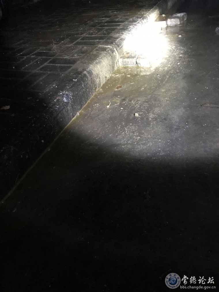 雨后酒店垃圾堆流出来到马路上的油渍