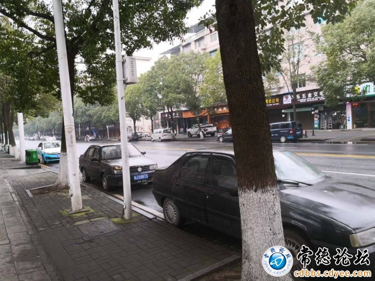 僵尸车