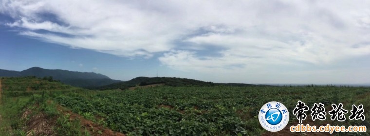 以高山红薯为原料