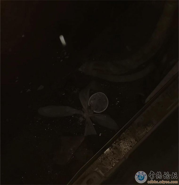 切开的空调排水管里面全是积水