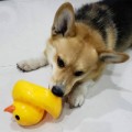 李老三