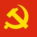 小树同志