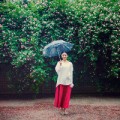 绵绵细雨恋蔷薇